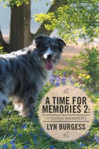 Time for Memories 2: Chilling Memories