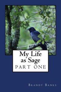 My Life as Sage: Part One