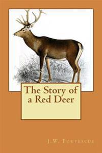 Kirjan kansi "The Story of a Red Deer"
