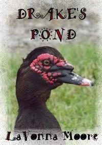 Drake's Pond