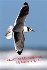 About a Franklin Gull: My Name is Frankie