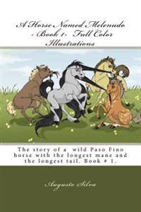 A Horse Named Melenudo - Book 1- Full Color Illustrations