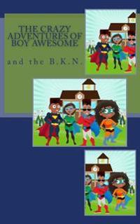The Crazy Adventures of Boy Awesome