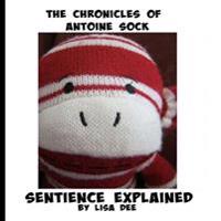 Sentience Explained