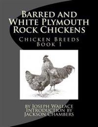 Barred and White Plymouth Rock Chickens