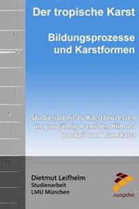 Der tropische Karst: Bildungsprozesse und Karstformen: Studienarbeit zu Karstprozessen in ganzjährig humiden Klimata - Cockpit und Turmkars