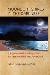 Moonlight Shines in the Darkness