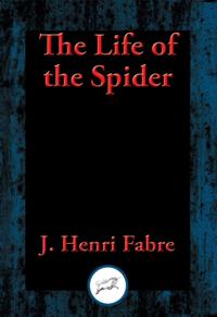 Life of the Spider