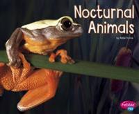 Nocturnal Animals
