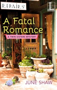 A Twin Sisters Mystery