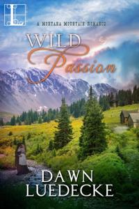 A Montana Mountain Romance
