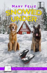 A Maggie McDonald Mystery