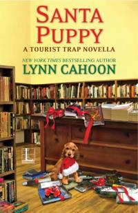 A Tourist Trap Mystery