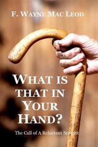 What is That in Your Hand?: The Call of a Reluctant Servant