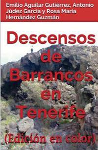 Descensos de barrancos en Tenerife (Edición en Color)