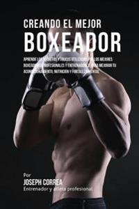 Creando el Mejor Boxeador