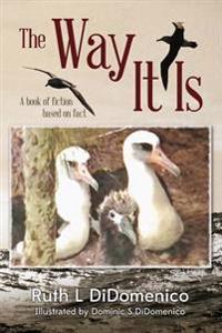 The Way It Is: A Book of Fiction Based on Fact