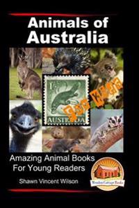 Animals of Australia for Kids