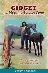 Gidget -- the Horse I Didn't Own