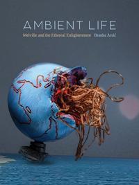 Ambient Life Volume 80