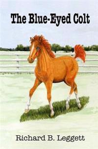 The Blue-eyed Colt