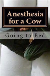 Anesthesia for a Cow: Going to Bed