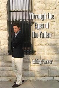 Through the Eyes of the Fallen