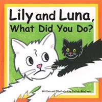 Lily and Luna, What Did You Do?