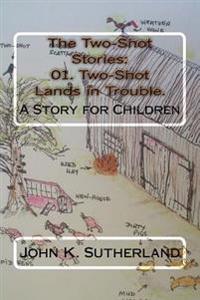 The Two-shot Stories