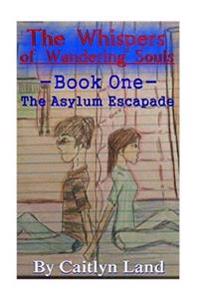 The Whispers of Wandering Souls: Book 1 The Asylum Escapade