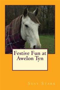 Festive Fun at Awelon Tyn