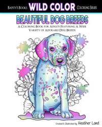 Beautiful Dog Breeds