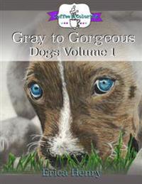 Gray to Gorgeous - Dogs