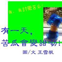 One Day, Balsam Pear Has Sweet Taste! Traditional Chinese