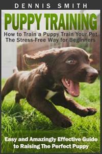 How to Train a Puppy Train Your Pet the Stress-free Way for Beginners