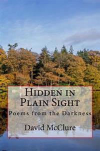 Hidden in Plain Sight: Poems from the Darkness