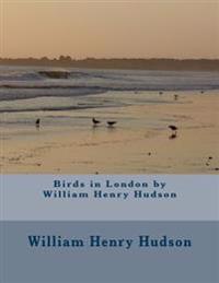 Birds in London