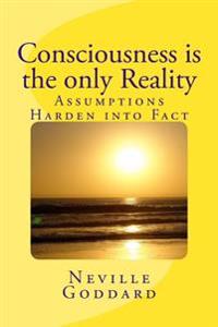Consciousness is the only Reality.
