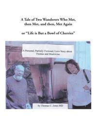 Tale of Two Wanderers Who Met, Then Met, and Then, Met Again
