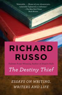 Destiny Thief