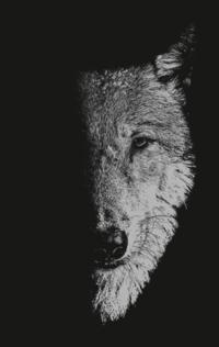 In the company of wolves