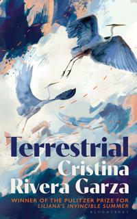 Bokomslag för Terrestrial