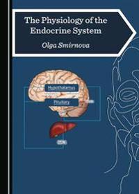 The Physiology of the Endocrine System