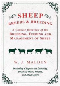 Sheep Breeds and Breeding - A Concise Overview of the Breeding, Feeding and Management of Sheep, Including Chapters on Lambing, Prices of Wool, Health, and Much More