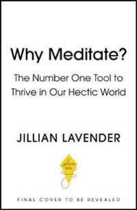 Why Meditate? Because it Works