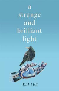 Strange and Brilliant Light: Winner of the Writers Guild Best First Novel Award