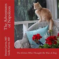 Bokomslag för "The Adventures of Napoleon: The Kitten Who Thought He Was A Dog"