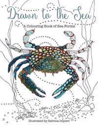 Drawn to the Sea: A Colouring Book of Sea Forms