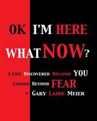 Ok I'm Here What Now?: A Life Discovered Because You Looked Beyond Fear