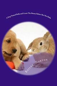 A Dog Named Bella and Lizzie The Bunny Before She Met Bella